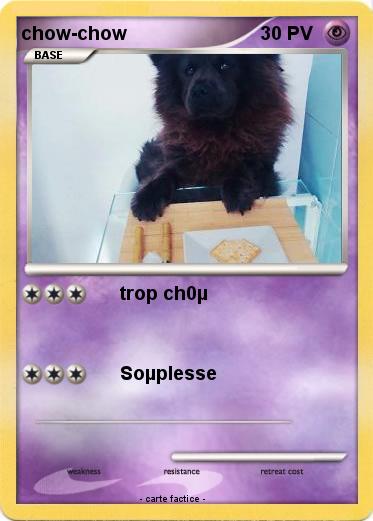 Pokemon chow-chow