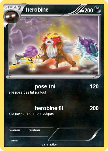Pokemon herobine