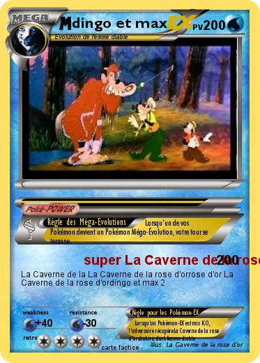 Pokemon dingo et max