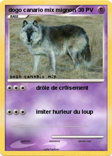 Pokemon dogo canario mix mignon