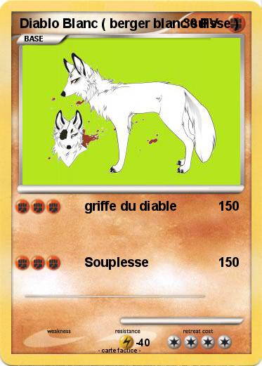 Pokemon Diablo Blanc ( berger blanc suisse )