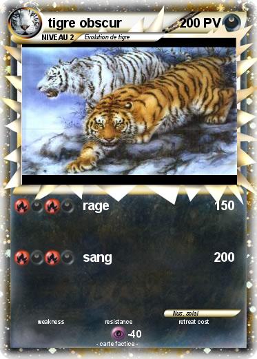 Pokemon tigre obscur