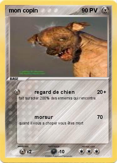 Pokemon mon copin