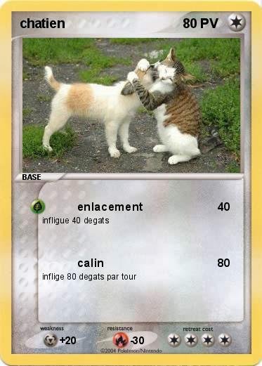 Pokemon chatien