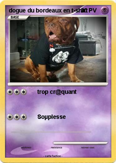Pokemon dogue du bordeaux en t-shirt