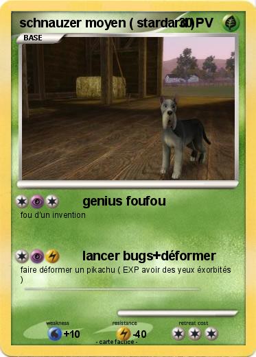 Pokemon schnauzer moyen ( stardard )