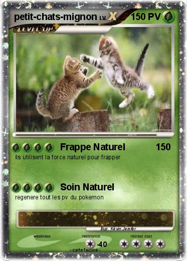 Pokemon petit-chats-mignon
