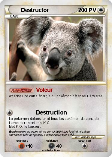 Pokemon Destructor