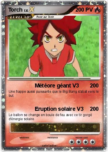 Pokemon Torch