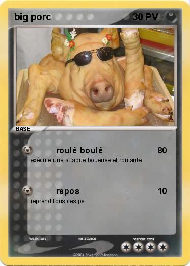 Pokemon big porc