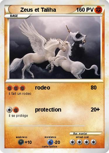 Pokemon Zeus et Taliha