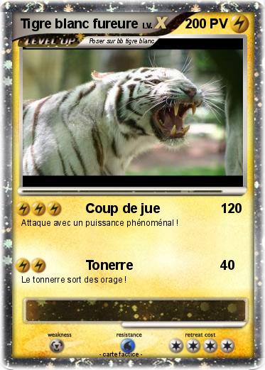 Pokemon Tigre blanc fureure
