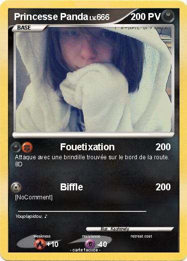 Pokemon Princesse Panda