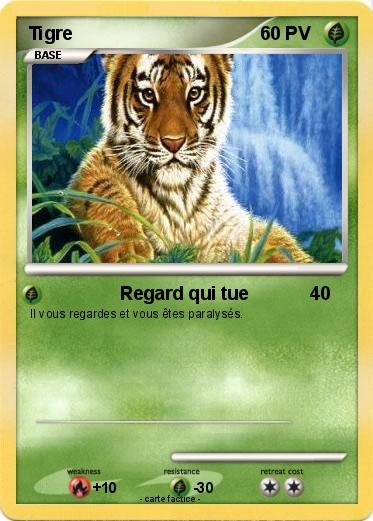 Pokemon Tigre