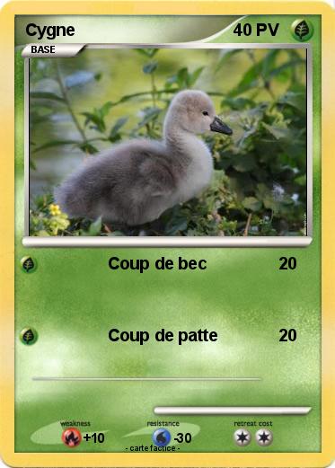 Pokemon Cygne