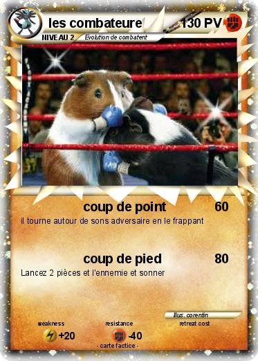 Pokemon les combateure