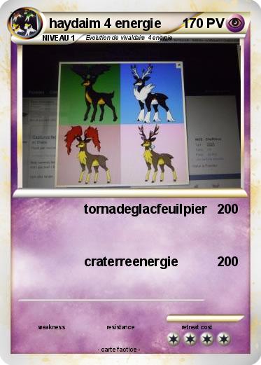 Pokemon haydaim 4 energie