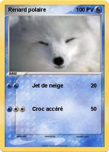 Pokemon Renard polaire