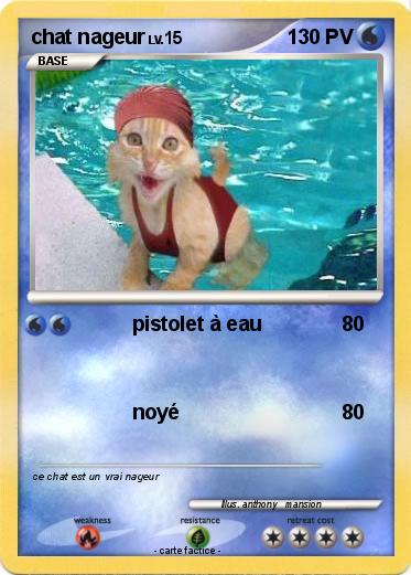 Pokemon chat nageur