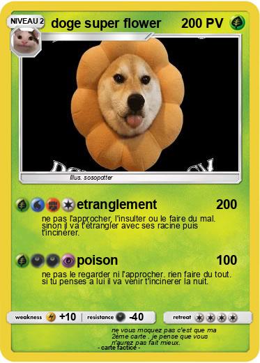 Pokemon doge super flower
