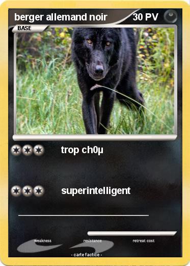 Pokemon berger allemand noir
