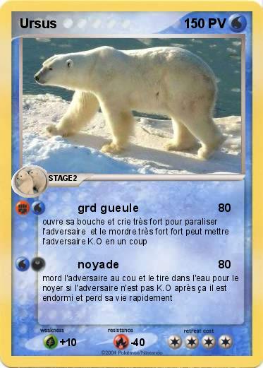 Pokemon Ursus