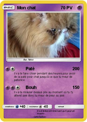 Pokemon Mon chat