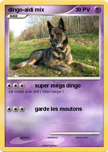 Pokemon dingo-aïdi mix