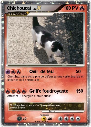 Pokemon Chichoucat