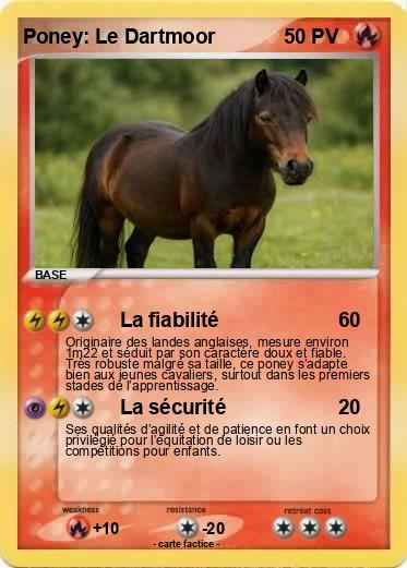 Pokemon Poney: Le Dartmoor