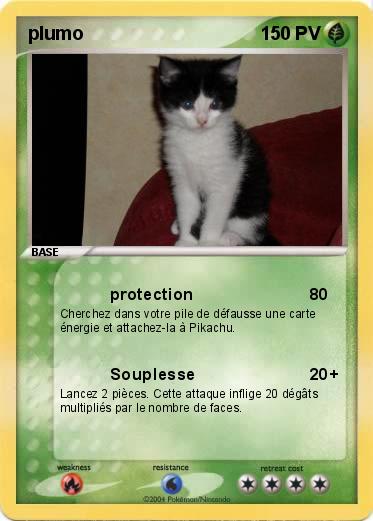 Pokemon plumo