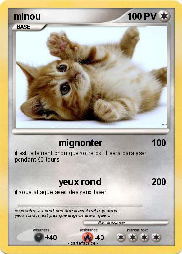 Pokemon minou