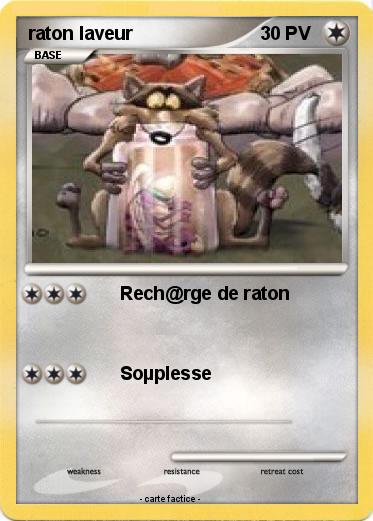 Pokemon raton laveur