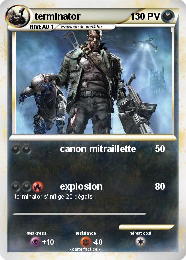 Pokemon terminator