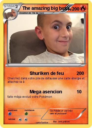 Pokemon The amazing big boss