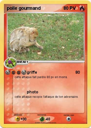 Pokemon poile gourmand