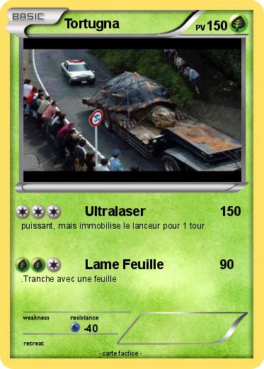 Pokemon Tortugna