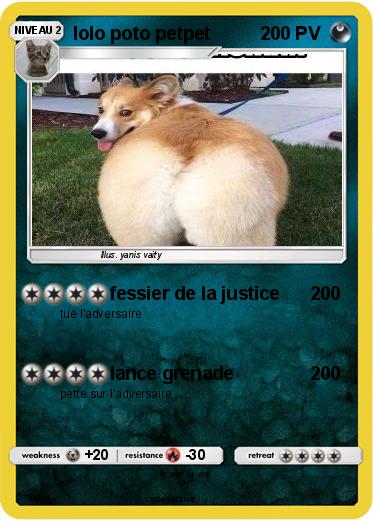 Pokemon lolo poto petpet