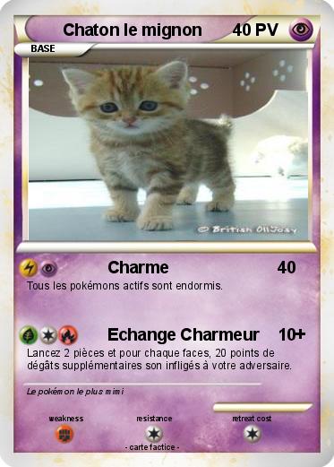 Pokemon Chaton le mignon
