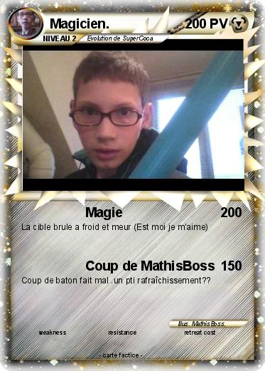 Pokemon Magicien.