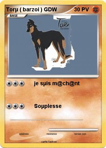 Pokemon Torµ ( barzoi ) GDW