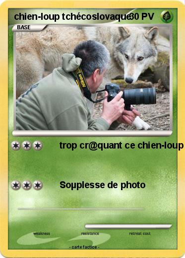 Pokemon chien-loup tchécoslovaque