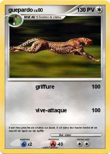 Pokemon guepardo