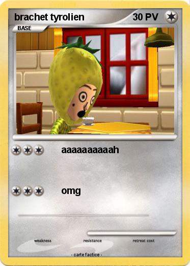 Pokemon brachet tyrolien