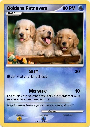 Pokemon Goldens Retrievers