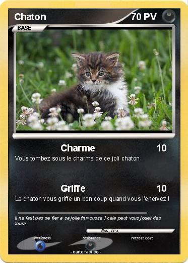 Pokemon Chaton