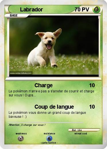 Pokemon Labrador