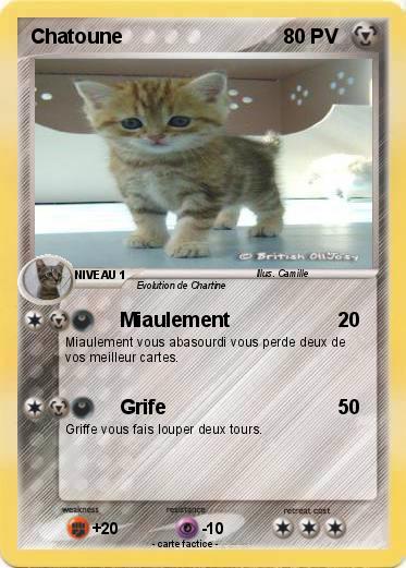 Pokemon Chatoune
