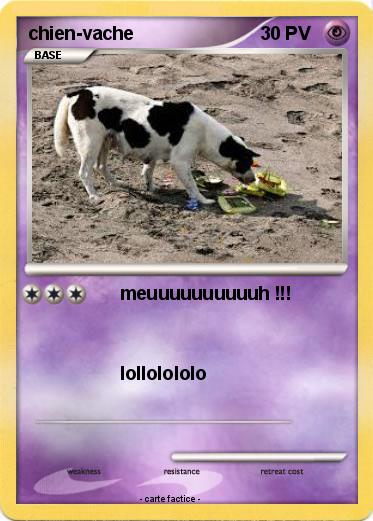 Pokemon chien-vache