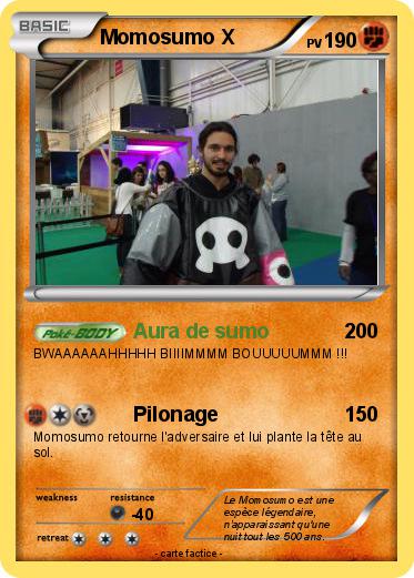 Pokemon Momosumo X